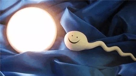 人工高龄供卵代怀微信群试管婴儿中心